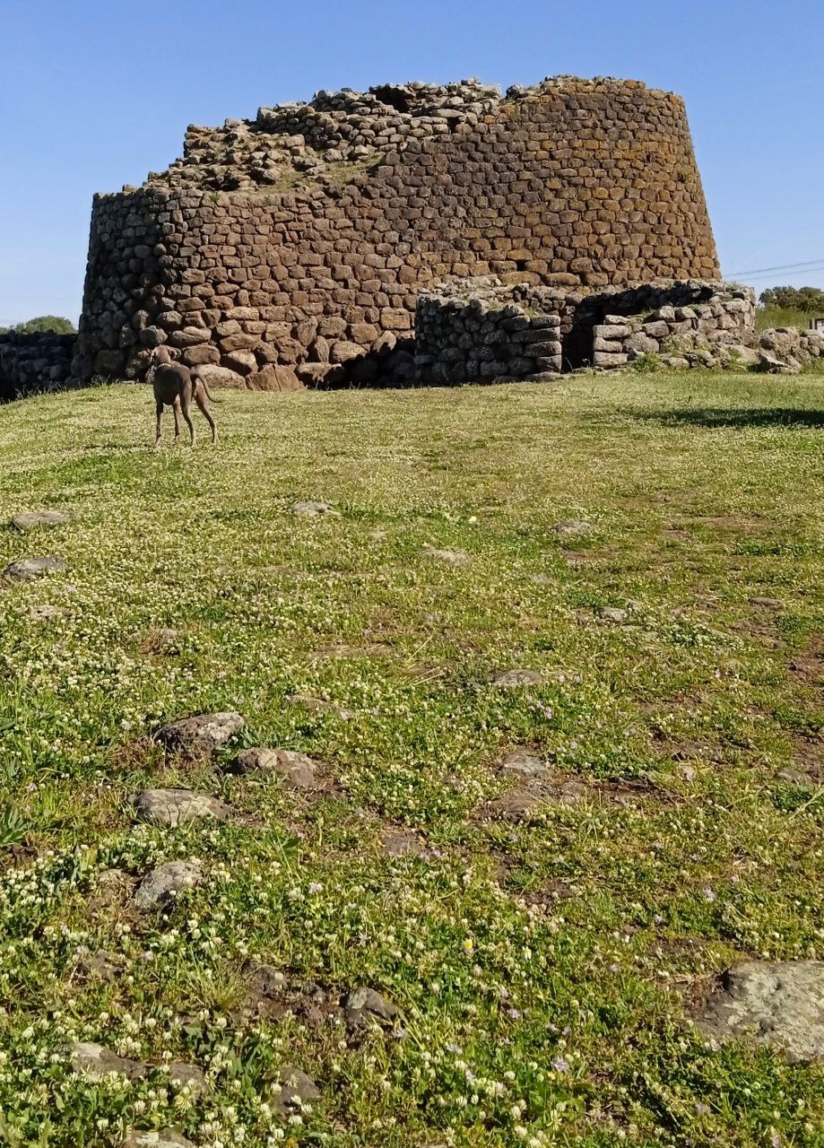 Nuraghe Losa